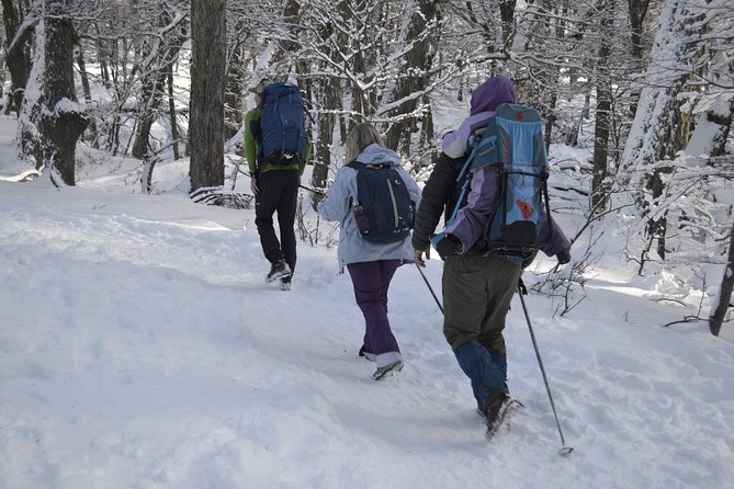 Snow Excursion in Bariloche - Suitable for the Whole Family - What to Expect on the Tour