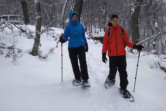 Snow Excursion in Bariloche - Suitable for the Whole Family - Key Points