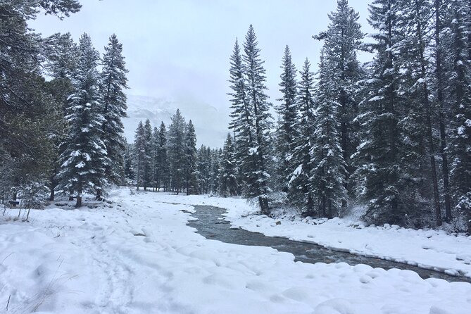 Snow Fun&Hot Springs 1-Day Tour From Calgary/Banff (Small Group) - Additional Information