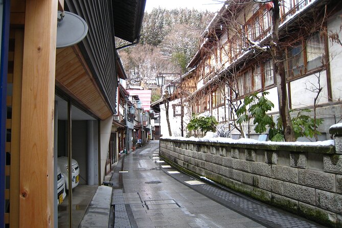 Snow Monkey and Takada Castle Cherry Blossom Illumination Tour - Key Points