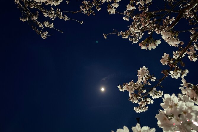 Snow Monkey and Takada Castle Cherry Blossom Illumination Tour - Meeting and Pickup