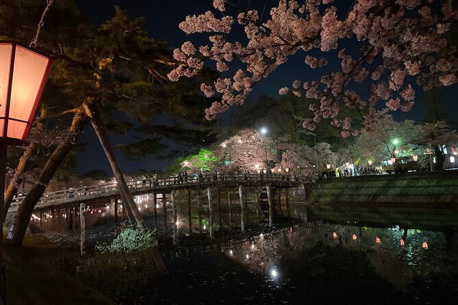 Snow Monkey and Takada Castle Cherry Blossom Illumination Tour - Participation Guidelines