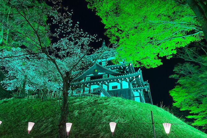 Snow Monkey and Takada Castle Cherry Blossom Illumination Tour - Monkey Park Exploration