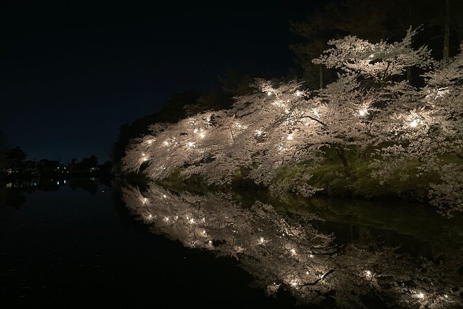 Snow Monkey and Takada Castle Cherry Blossom Illumination Tour - Shibu Onsen Visit