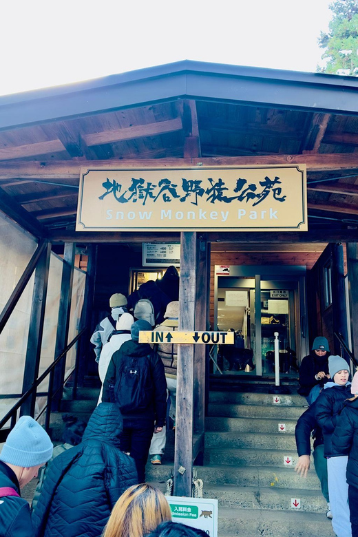 Snow Monkey and Zenko-ji Temple Nagano One Day Tour - Highlights of the Tour