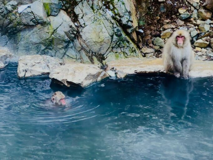 Snow Monkey and Zenko-ji Temple Nagano One Day Tour - Reservation and Payment