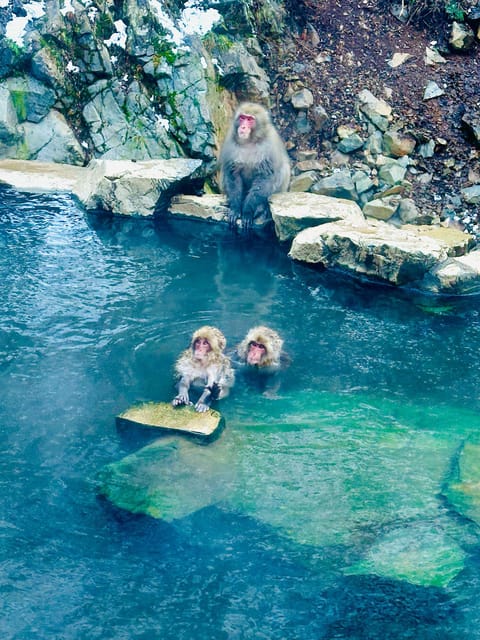 Snow Monkey and Zenko-ji Temple Nagano One Day Tour - Tour Duration and Schedule