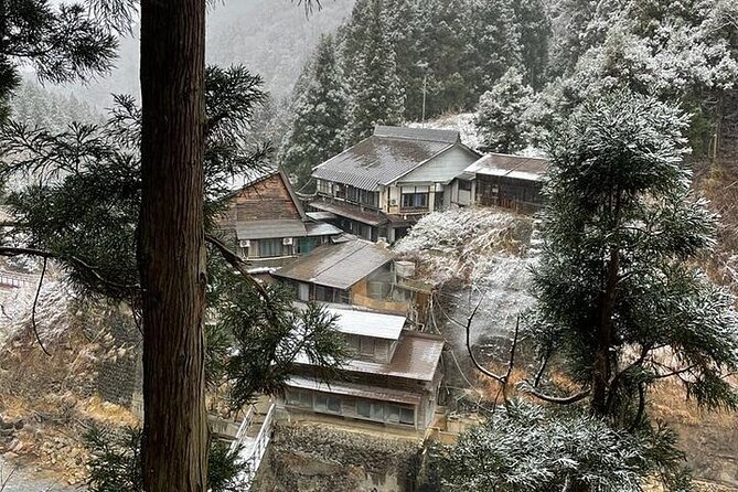Snow Monkey and Zenkoji Temple Sake in Nagano Full Day Tour - Included Attractions