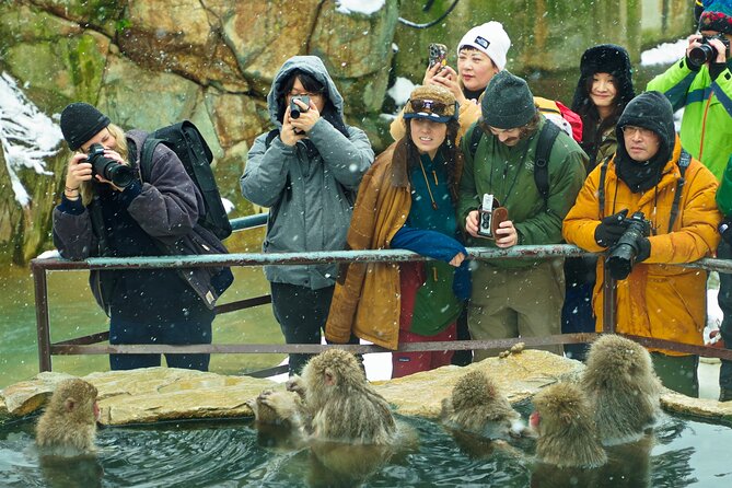 Snow Monkey, Hokusai & Sake: A Perfect Day in Nagano - The Journey to Snow Monkey Park