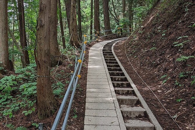 Snow Monkey Nagano One Day Private Tour With English Guide. - What to Expect During the Tour