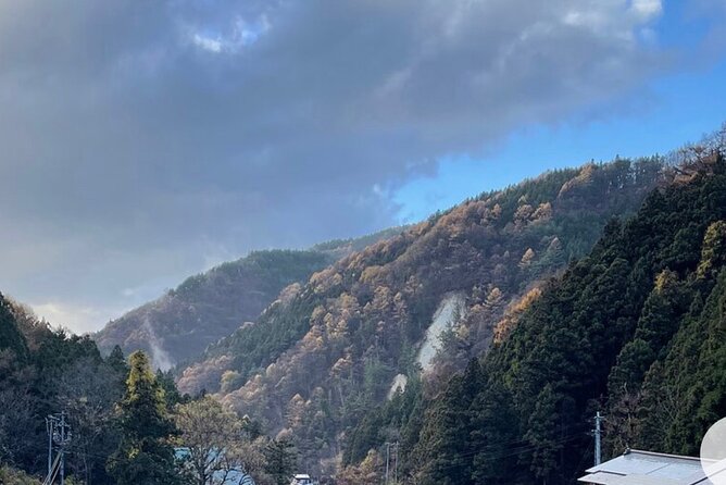 Snow Monkey Nagano or Mt Tsukuba Day Tour by Car English Driver - Inclusions and Exclusions