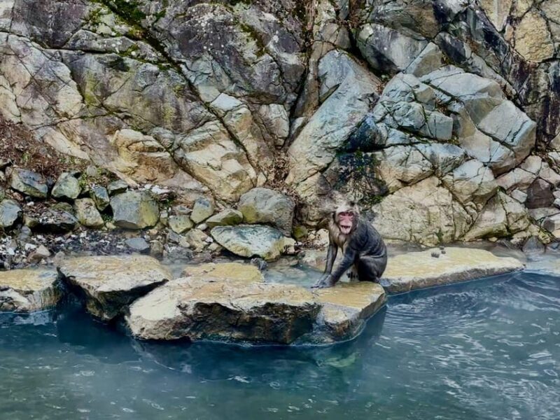 Snow Monkey Park Day Tour Pick-up and Drop-off From Nagano - Exclusions