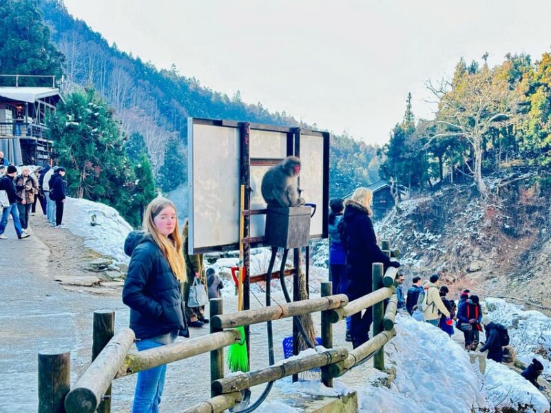 Snow Monkey Park Day Tour Pick-up and Drop-off From Nagano - Additional Information
