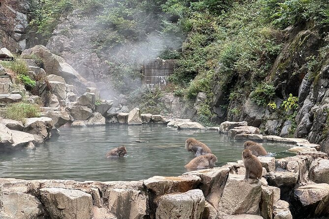 Snow Monkey Park Private Tour From Tokyo With Licensed Guide - Weather and Itinerary Notes