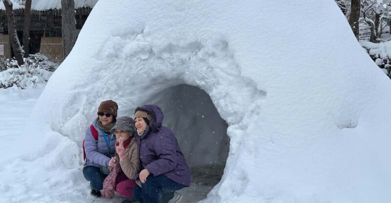 Snow Monkey Park Private Tour To-and-From Tokyo up to 12 - Key Points