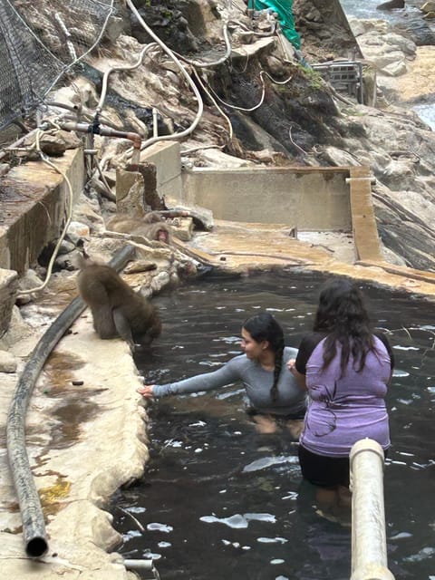Snow Monkey Park Private Tour To-and-From Tokyo up to 12 - Itinerary and Experience