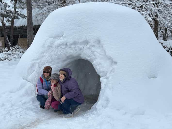 Snow Monkey Park Private Tour To-and-From Tokyo up to 12 - Highlights and Activities