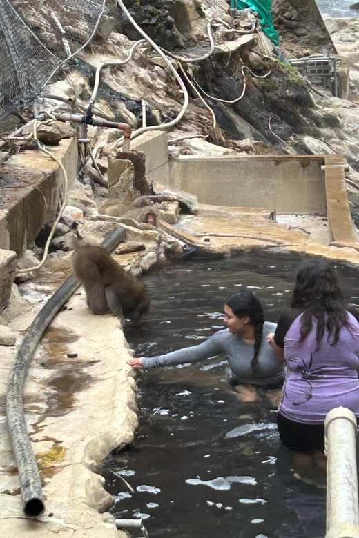 Snow Monkey Park Private Tour To-and-From Tokyo up to 12 - Group Size and Suitability
