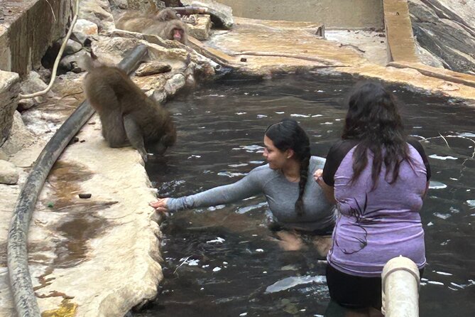 Snow Monkey Park Tour, From/To Tokyo, up to 12 Guests - Cancellation Policy