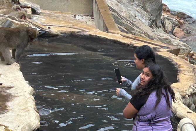 Snow Monkey Park Tour, From/To Tokyo, up to 12 Guests - Weather-Related Cancellations