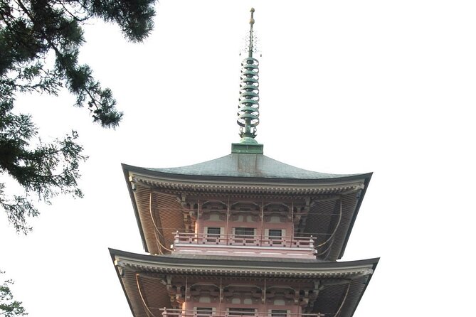 Snow Monkey Park & Zenkoji Temple Nagano Pvt. Full Day Tour. - Meeting and Pickup