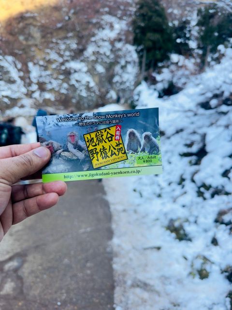 Snow Monkey Park & Zenkoji Temple One Day Trip - Key Points