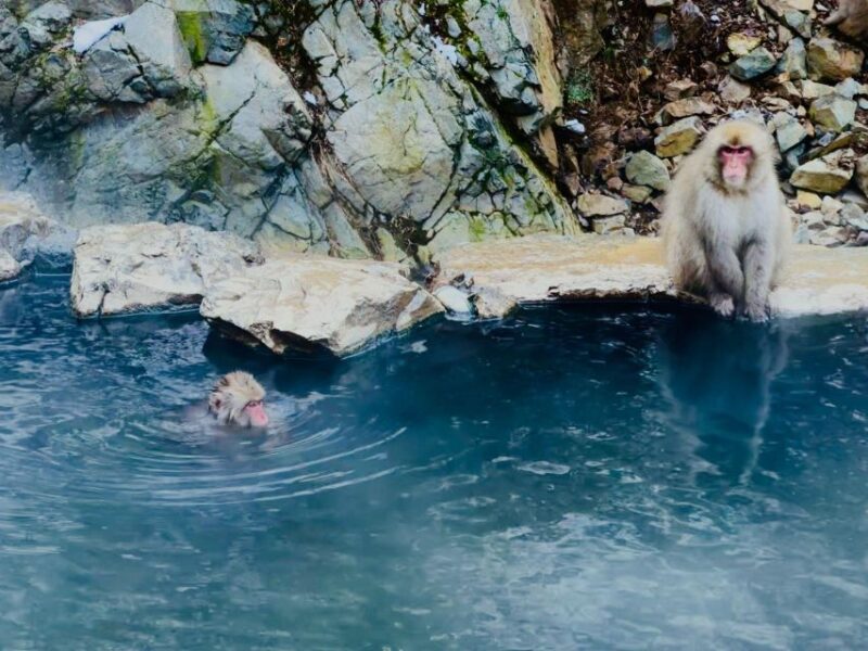 Snow Monkey Park & Zenkoji Temple One Day Trip - Zenkoji Temple