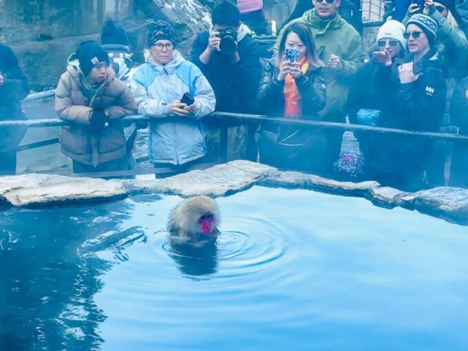 Snow Monkey Park & Zenkoji Temple One Day Trip - Highlights and Experiences