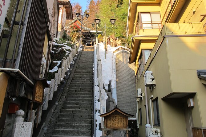 Snow Monkey & Shibu Onsen Afternoon Tour (All Year Round) - Tour Overview