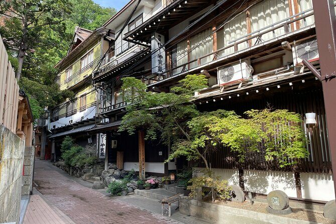 Snow Monkey & Shibu Onsen Private Tour (Nagano, Myoko, Madarao) - Who Would Love This Tour?