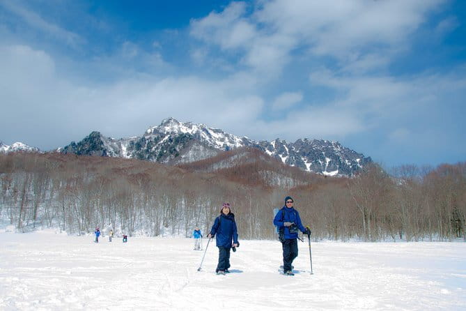 Snow Monkey & Shibu Onsen Private Tour (Nagano, Nozawa, Myoko) - Customer Feedback