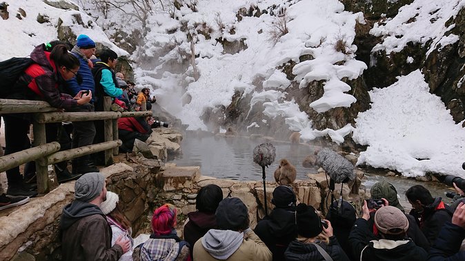 Snow Monkey, Shiga Kogen Roman Museum With Lunch Buffet - Lunch Options at the Tour