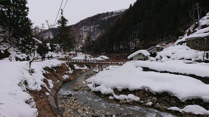 Snow Monkey, Shiga Kogen Roman Museum With Lunch Buffet - Traveler Reviews and Feedback
