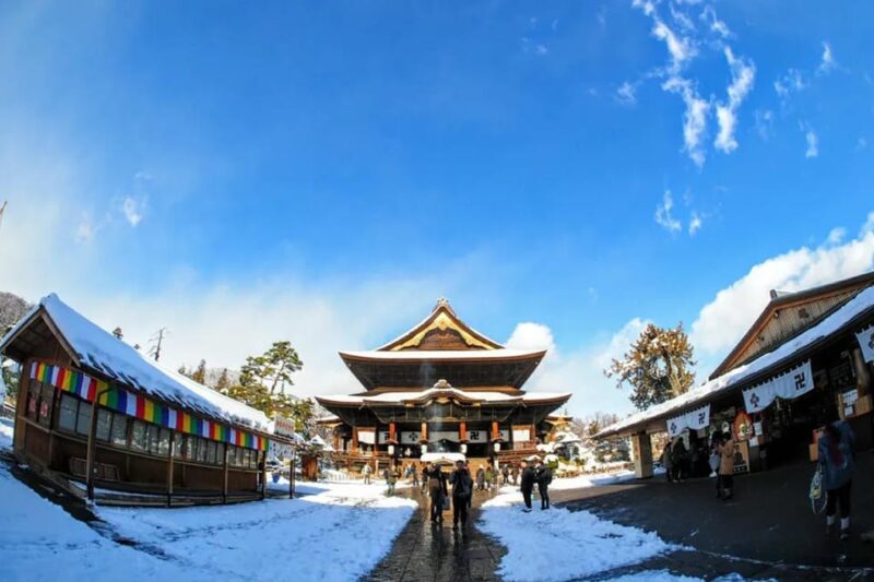 Snow Monkey, Zenko-ji Temple, Sake in Nagano Tour - Key Points