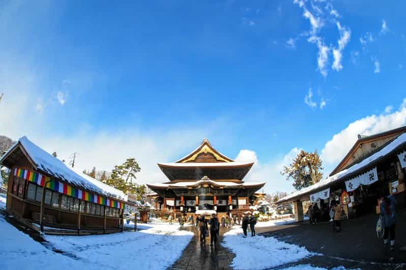 Snow Monkey, Zenko-ji Temple, Sake in Nagano Tour - Zenko-ji Temple Highlights