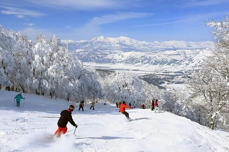 Snow Monkey & ZinkoJi With Sake Tasting Private Tour - Key Points