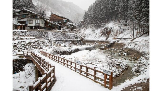 Snow Monkey & ZinkoJi With Sake Tasting Private Tour - Tour Inclusions