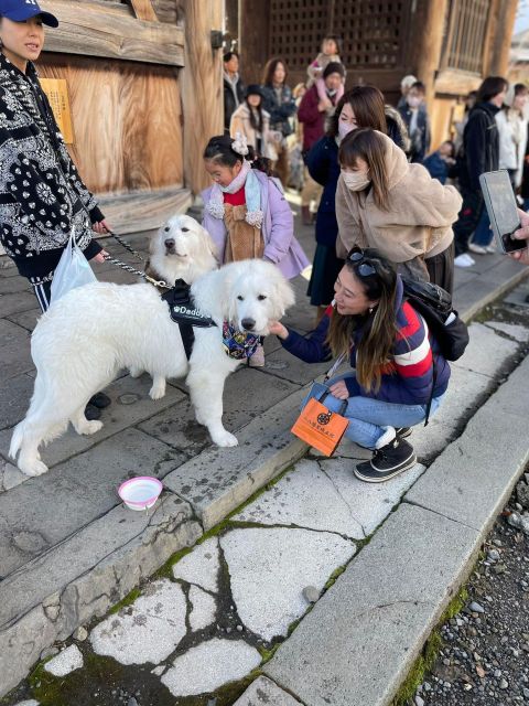 Snow Monkey & ZinkoJi With Sake Tasting Private Tour - Tour Pricing and Availability