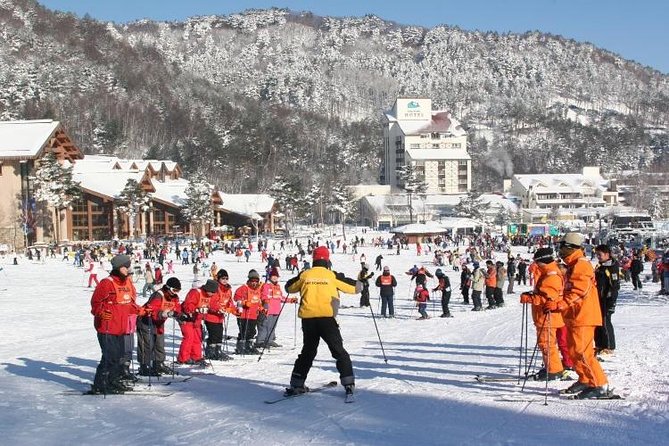Snow or Ski Day Trip to Yongpyong Resort From Seoul - Highlights of Phoenix Park Ski Resort