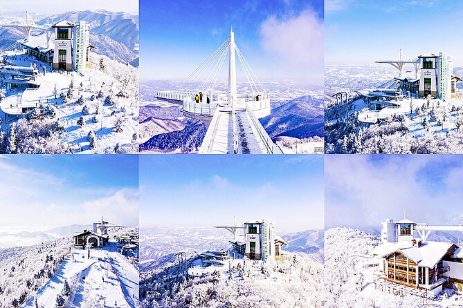 Snow or Ski Day Trip to Yongpyong Resort From Seoul - Customer Feedback and Experiences