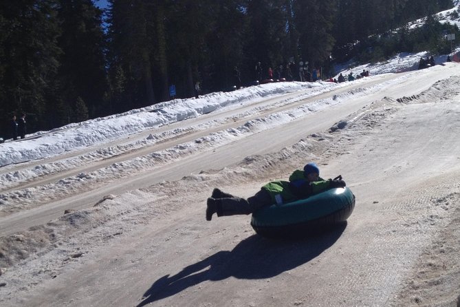 Snow Tubing & Sledding Adventures From Reno - Safety and Accessibility Details