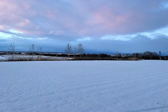 Snow View Sauna in Naganuma - Key Points