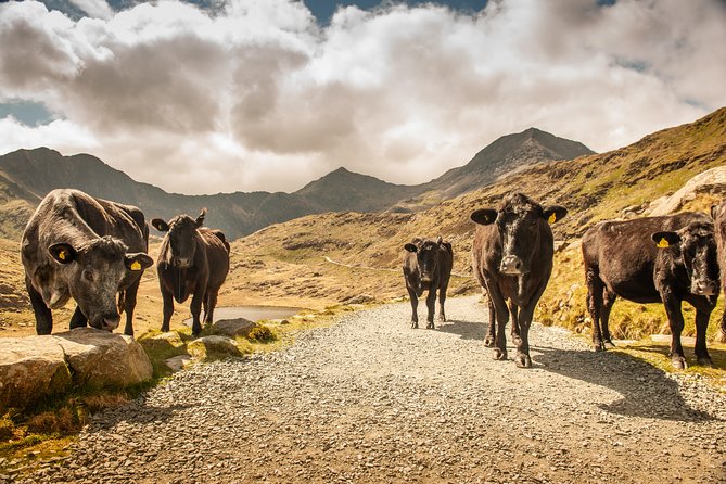 Snowdonia & Chester Day Tour From Manchester Including Admission - Gateway to Snowdonia