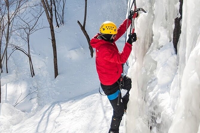 Snowmobile Access Ice Climbing Adventure - Scenic Views and Nature Encounters