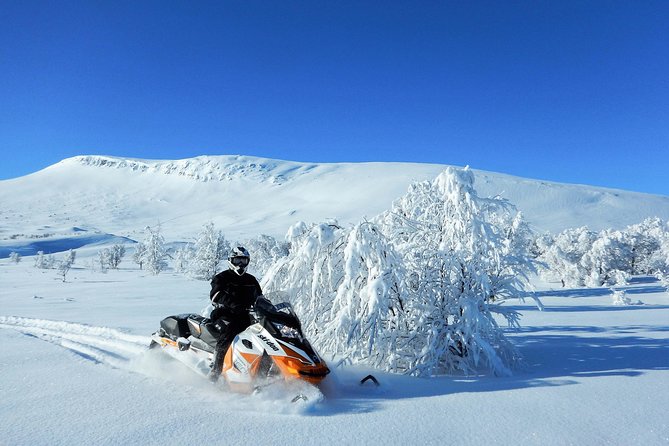 Snowmobile Adventure in Swedish Lapland (Day Tour) - Snowmobiling in Lapland