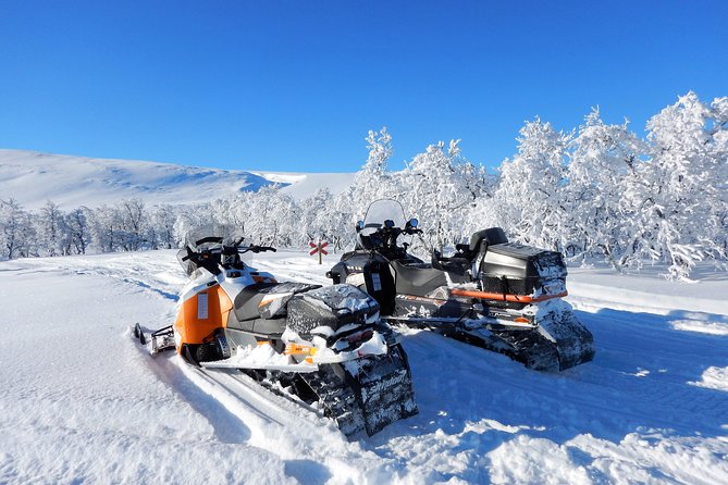 Snowmobile Adventure in Swedish Lapland (Day Tour) - Safety and Support