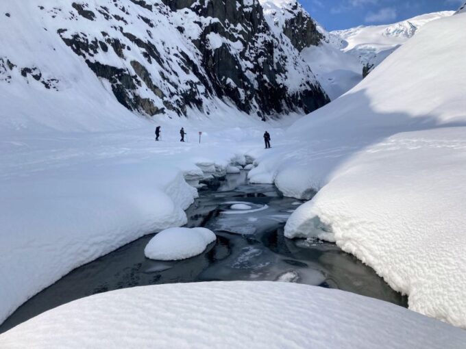 Snowmobile and Snowshoe Dual Adventure From Seward, AK - Engaging Guides