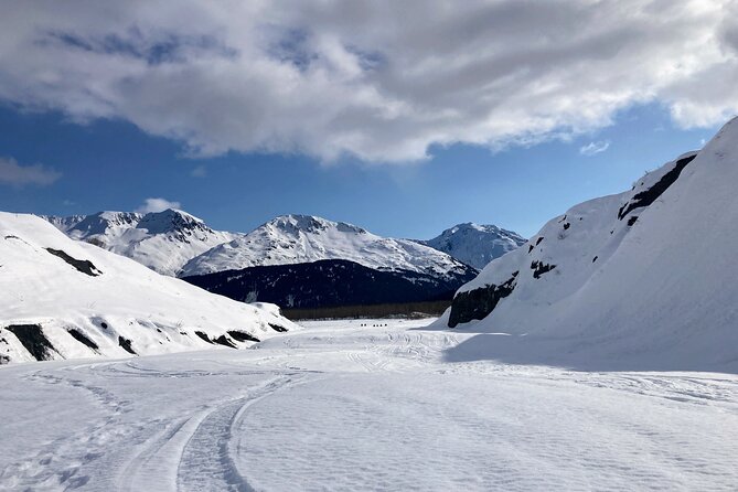 Snowmobile and Snowshoe Dual Adventure in Kenai Fjords NP - Snowshoe Hike Highlights