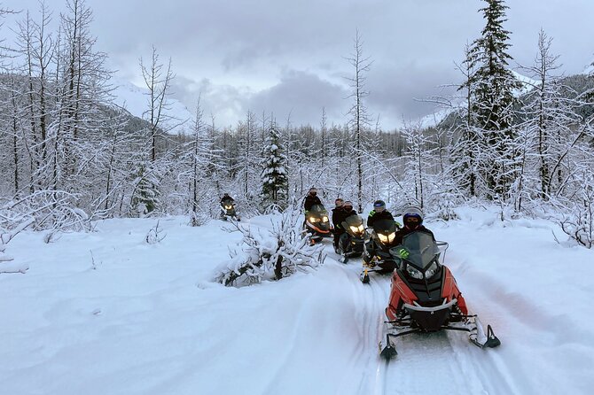 Snowmobile and Snowshoe Dual Adventure in Kenai Fjords NP - Included Gear and Amenities