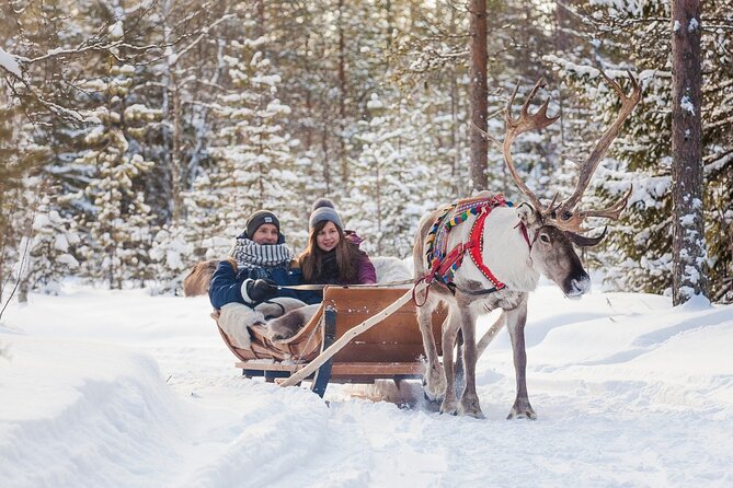 Snowmobile & Animals Day Tour - Pickup and Transport